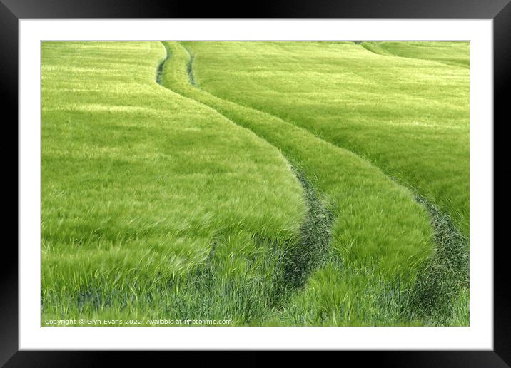 Field of green Framed Mounted Print by Glyn Evans