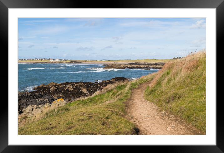 Pathway bending round to Porth Trecastell Framed Mounted Print by Jason Wells