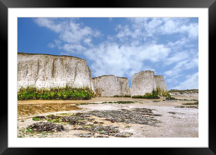 Botany Bay chalk stacks and beach Framed Mounted Print by Diana Mower