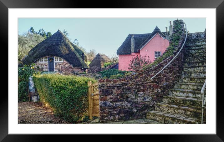 Thatched Houses Cockington Torquay  Framed Mounted Print by Peter F Hunt
