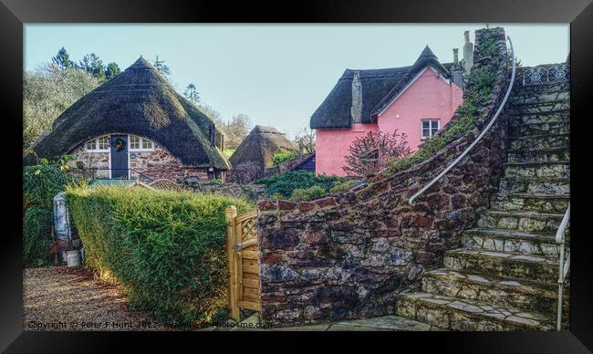 Thatched Houses Cockington Torquay  Framed Print by Peter F Hunt