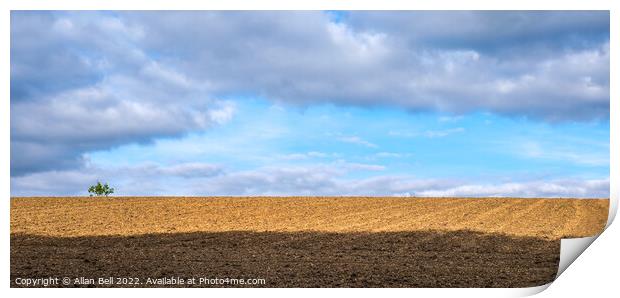 Cotswolds Lonely Tree Print by Allan Bell