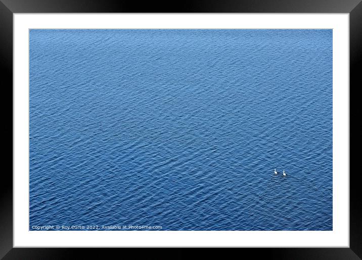 All at Sea. Framed Mounted Print by Roy Curtis
