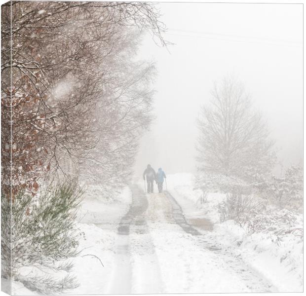 Snowfall walk Canvas Print by chris smith
