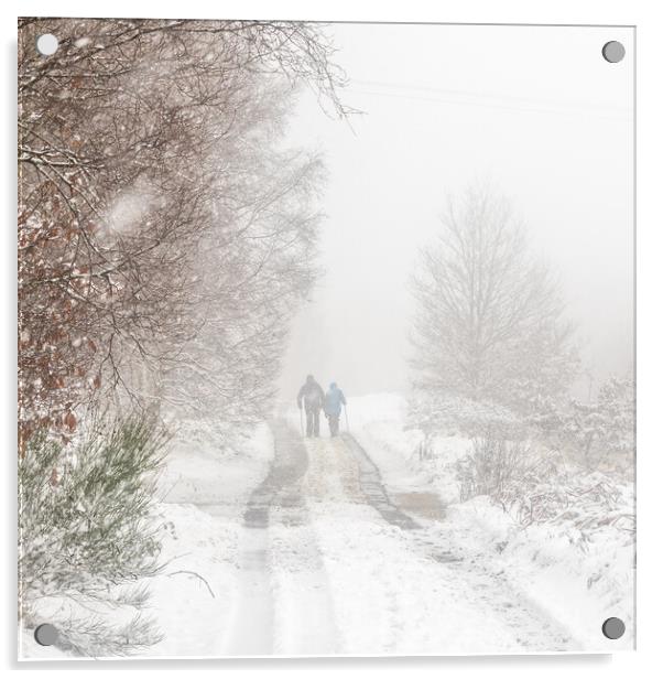Snowfall walk Acrylic by chris smith