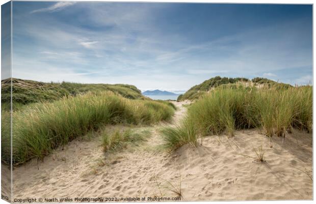Newborough sand dunes Canvas Print by North Wales Photography