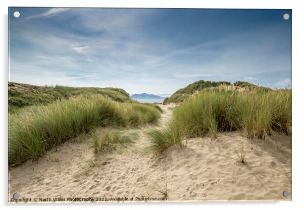 Newborough sand dunes Acrylic by North Wales Photography