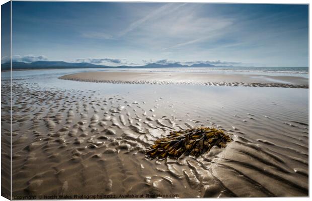 Newborough beach Anglesey Canvas Print by North Wales Photography