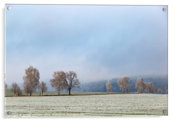 Winter landscape in Czech countryside. Acrylic by Sergey Fedoskin