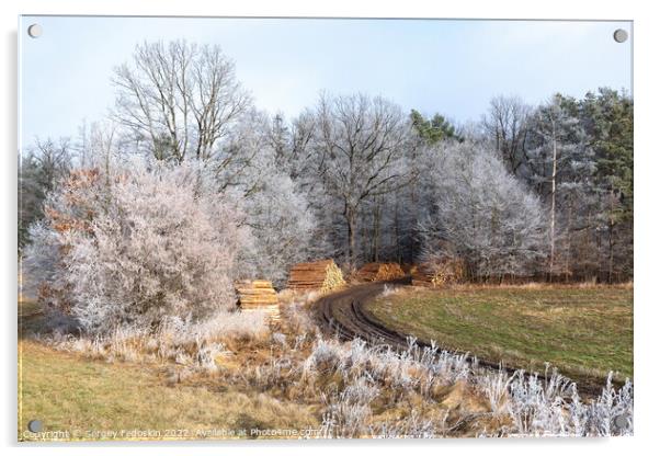 Winter countryside landscape in Czechia. Acrylic by Sergey Fedoskin