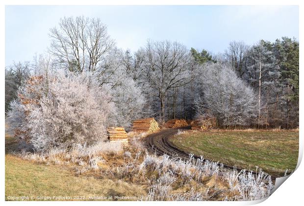 Winter countryside landscape in Czechia. Print by Sergey Fedoskin