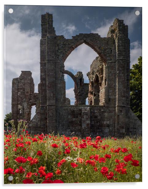 Poppies at Lindisfarne Priory Acrylic by Mark Jones