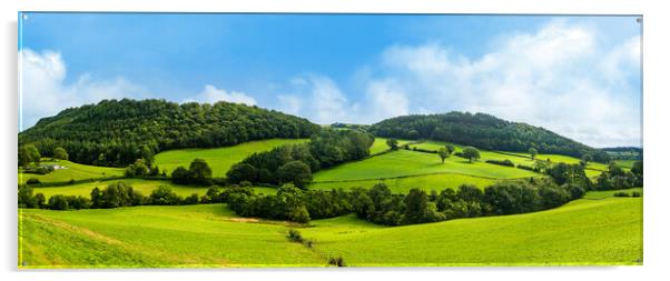 Panorama of welsh countryside Acrylic by Steve Heap