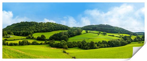 Panorama of welsh countryside Print by Steve Heap