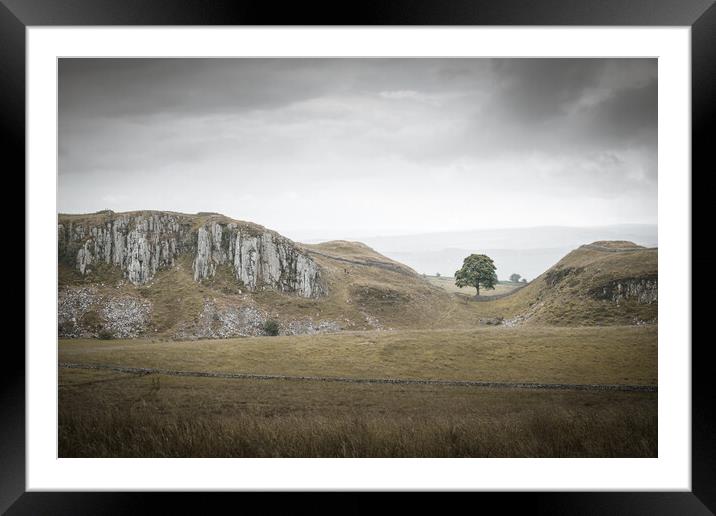 Sycamore Gap and Whin Sill Framed Mounted Print by Mark Jones