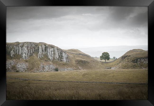 Sycamore Gap and Whin Sill Framed Print by Mark Jones