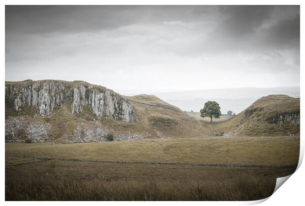Sycamore Gap and Whin Sill Print by Mark Jones