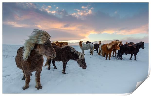Horses  Print by Ionut Cosmin