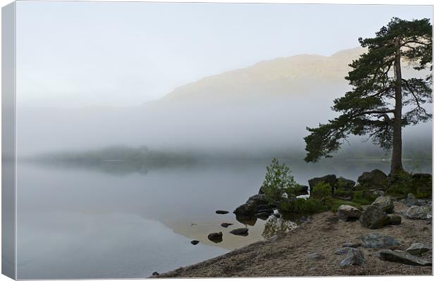 Misty morning, Loch Eck Canvas Print by Gary Eason