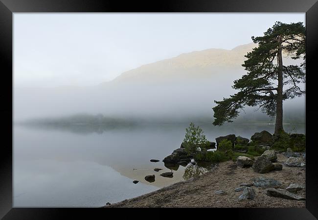 Misty morning, Loch Eck Framed Print by Gary Eason