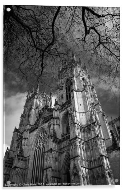 Spring at York Minster Acrylic by Chris Rose
