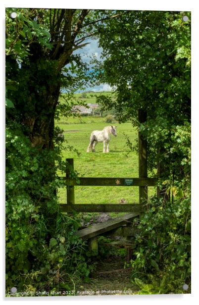 Mellor Farmland from Yew Tree Drive, Blackburn, La Acrylic by Shafiq Khan