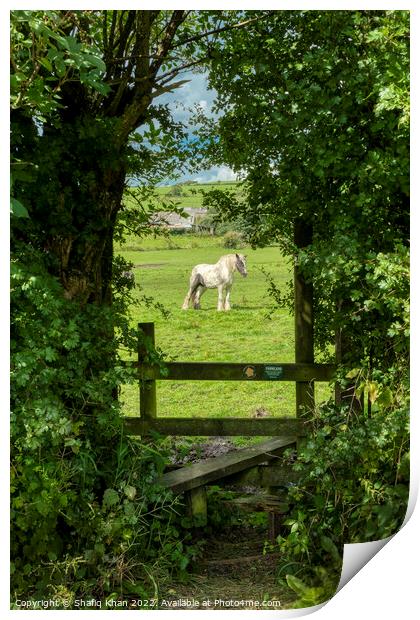 Mellor Farmland from Yew Tree Drive, Blackburn, La Print by Shafiq Khan