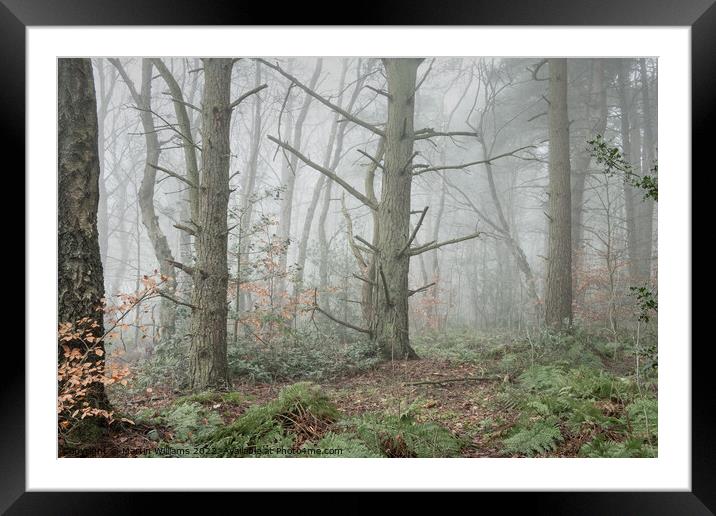 Misty winty woodland in North York Moors, Yorkshire Framed Mounted Print by Martin Williams