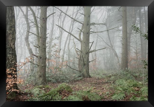 Misty winty woodland in North York Moors, Yorkshire Framed Print by Martin Williams