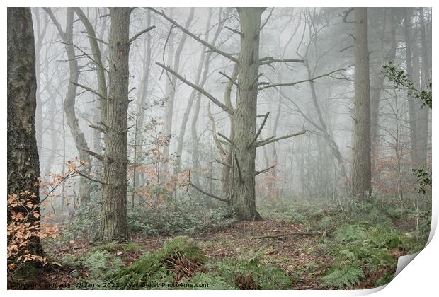 Misty winty woodland in North York Moors, Yorkshire Print by Martin Williams
