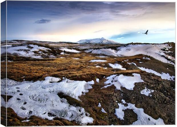 MOUNTAIN AND WASTELAND - ICELAND Canvas Print by Tony Sharp LRPS CPAGB