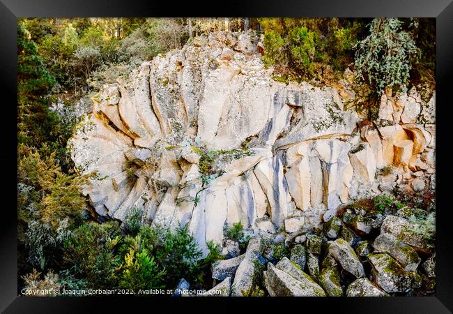 Piedra de la Rosa, curious formation of a cooled lava flow in th Framed Print by Joaquin Corbalan
