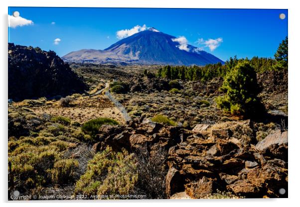 Beautiful panoramic image of the Teide volcano, a sunny day with Acrylic by Joaquin Corbalan