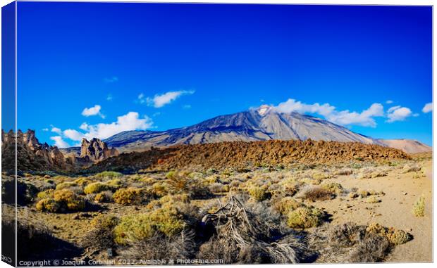 Beautiful panoramic image of the Teide volcano, a sunny day with Canvas Print by Joaquin Corbalan