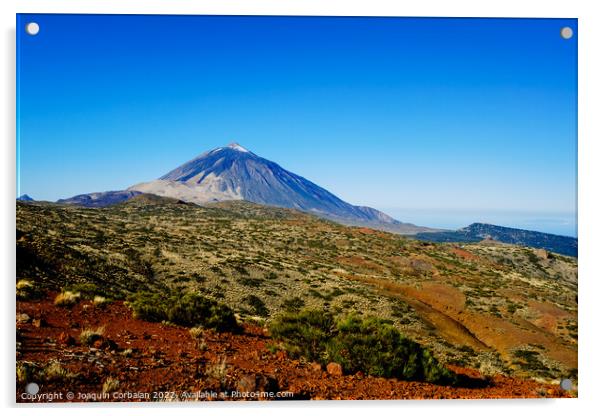 impressive view of the Teide volcano with the snowy peak in the  Acrylic by Joaquin Corbalan