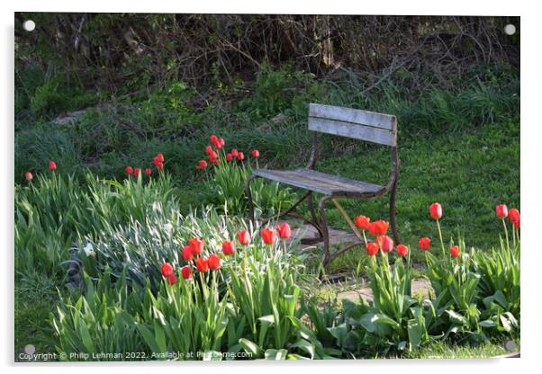 Tulip Garden Acrylic by Philip Lehman