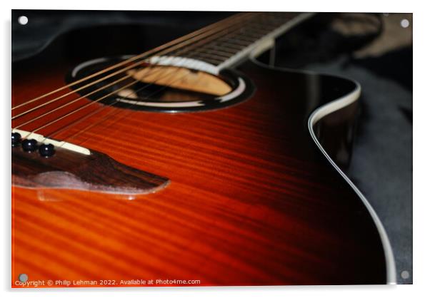 Guitar Strings 1 Acrylic by Philip Lehman