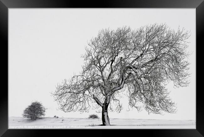 Winter Scene. Framed Print by Glyn Evans