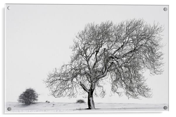 Winter Scene. Acrylic by Glyn Evans