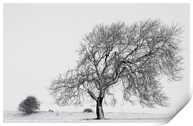 Winter Scene. Print by Glyn Evans