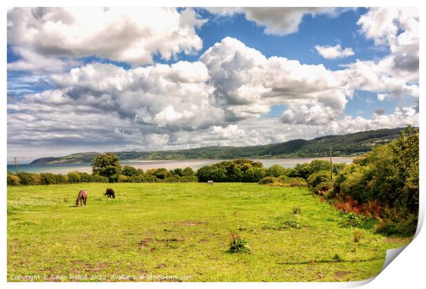 Horses in a field overlooking Red Wharf Bay Print by Kevin Hellon