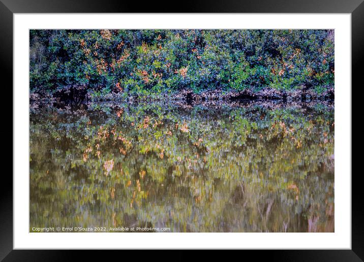 Berowra Creek Reflections Framed Mounted Print by Errol D'Souza
