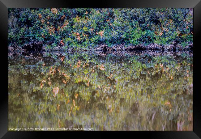 Berowra Creek Reflections Framed Print by Errol D'Souza