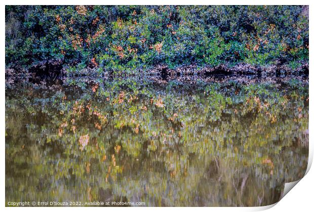 Berowra Creek Reflections Print by Errol D'Souza