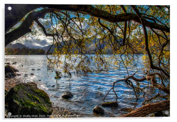 Derwentwater, Lake District, Cumbria, UK Acrylic by Shafiq Khan