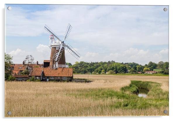 Cley Windmill behind the wetlands Acrylic by Jason Wells