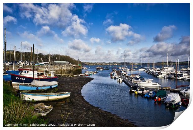 Mylor port harbour with the tide out Print by Ann Biddlecombe