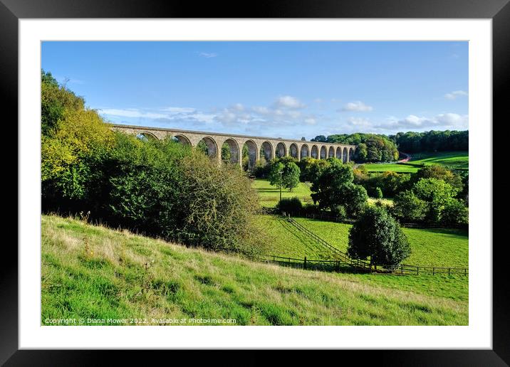 Ty Mawr Country Park Llangollen Framed Mounted Print by Diana Mower