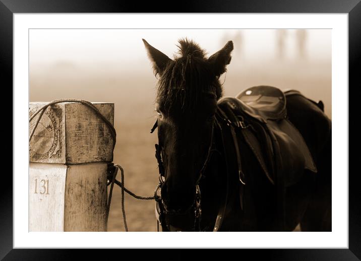 horse waiting in fog in sepia Framed Mounted Print by youri Mahieu