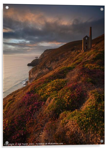Cornish view at sunset Acrylic by Nik Taylor